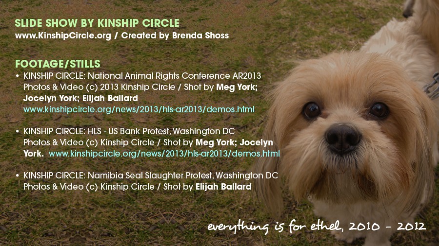 84_images-credits_kinship-circle