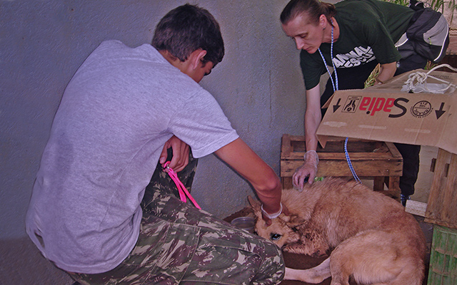 Cheri, Raphael find critically hurt dog, Kinship Circle