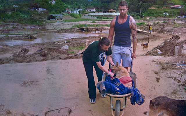 Cheri and Michael rescue wounded dog, Kinship Circle