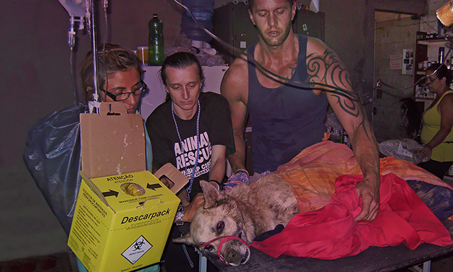 Cheri, Michael and vet with hurt dog, (c) Kinship Circle