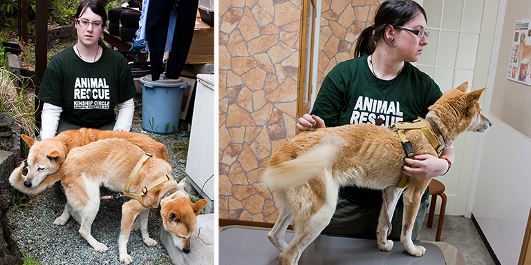 Lindsay comforts an undernourished dog (c) Kinship Circle
