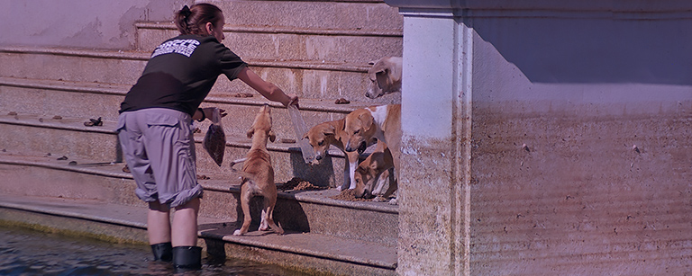 Cheri Deatsch feeds flood puppies, (c) Kinship Circle