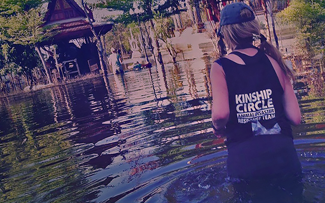 Brenda Shoss wades out to animals, (c) Kinship Circle