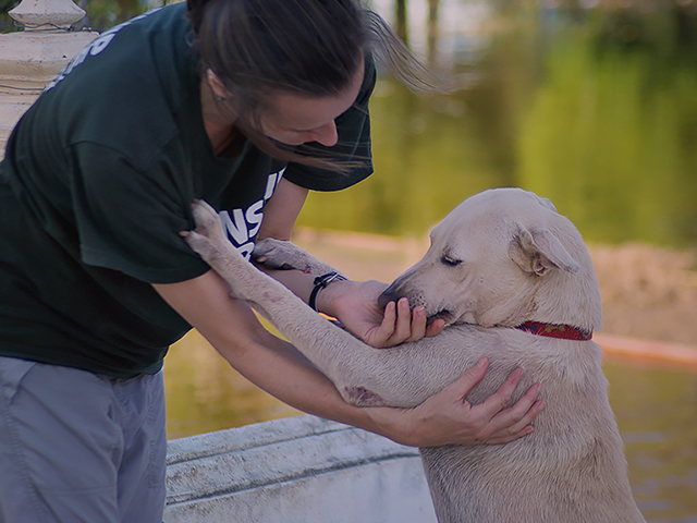 Cheri Deatsch pets a sweet flood dog (c) Kinship Circle