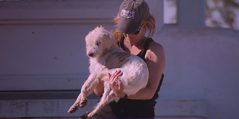 Brenda Shoss carries Monk to rescue boat, Kinship Circle