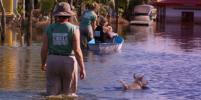 Dogs trail us, with Monk in boat, (c) Kinship Circle
