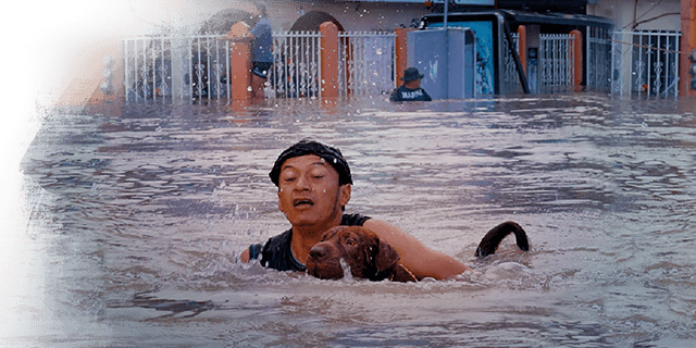 Man rescuing dog crosses flooded streets in Villahermosa, Mexico, Manuel Lopez, Reuters