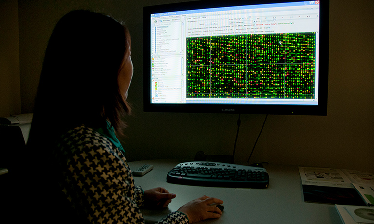 Non-Animal Research, DNA Chips. Wikipedia