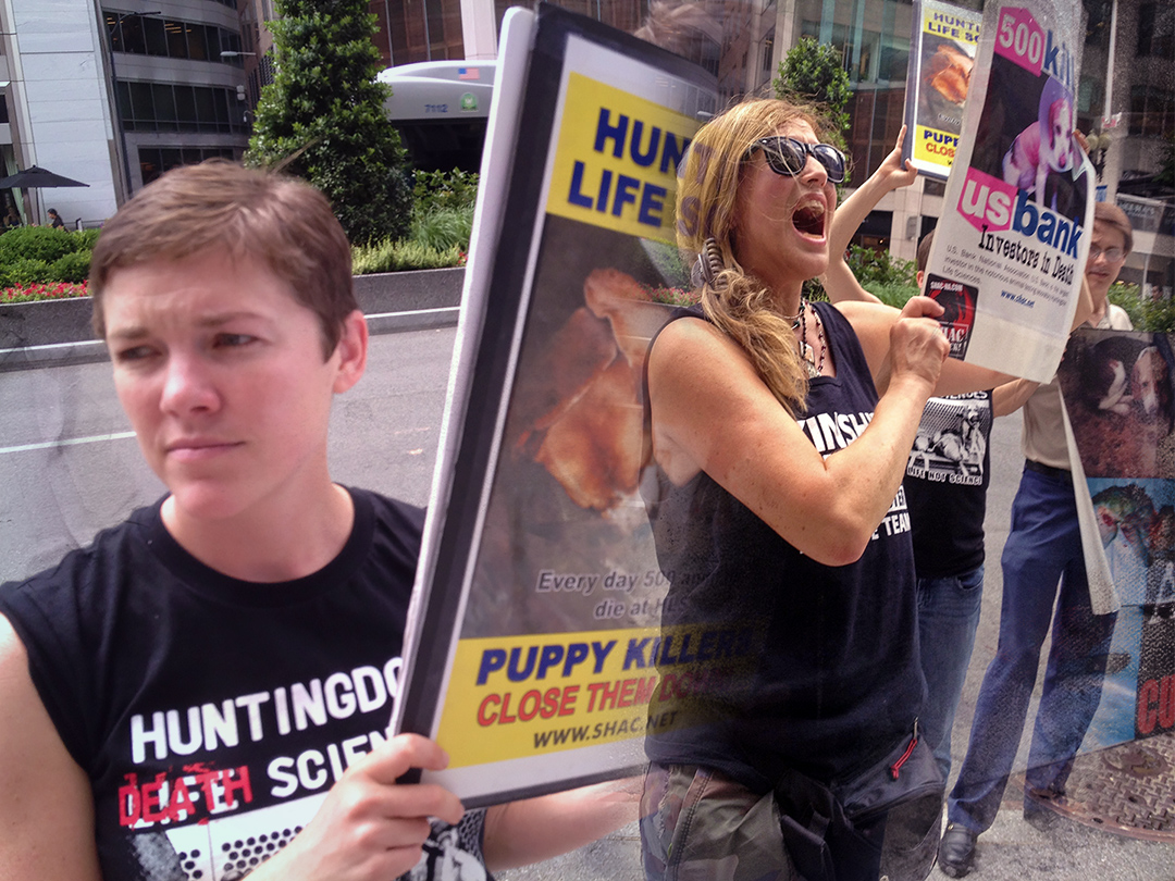 U.S. Dept. of Defense must now report how animals are used in combat-trauma training. Kinship Circle