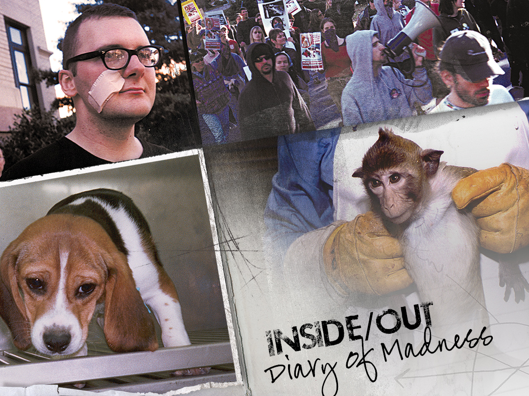 Inside Out: Diary Of Madness, a tale of HLS madness, money and profound cruelty. (c) Kinship Circle